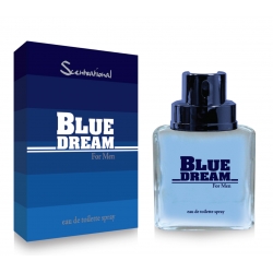 Blue Dream 100ml